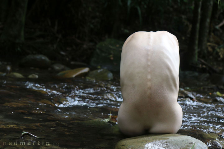 Bronwen at Cougal Cascade, Currumbin Creek