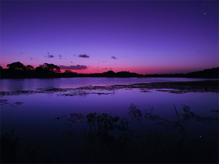 Buckleys Hole Conservation Park, Bribie Island