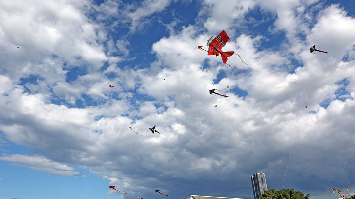 74th Independence Day of India and Gold Coast Kite Festival, HOTA, Gold Coast