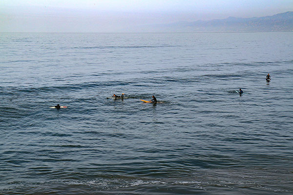 Californian surfing: much like Australia, but without the waves