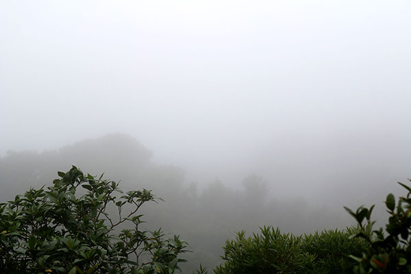 Visibility at Best of All Lookout was around 30 metres