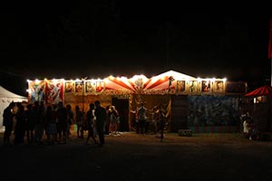 The Amazing Woodford Folk Festival
