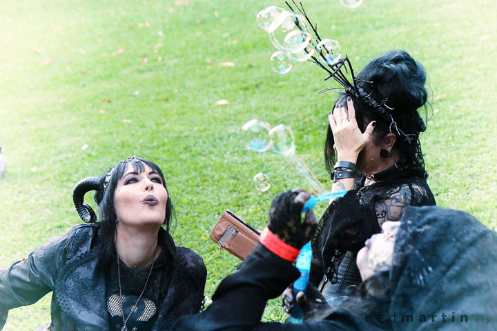 The Brisbane Gothic and Alternative Picnic