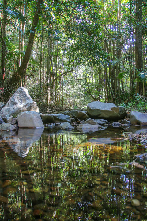 Cougal Cascades, Currumbin