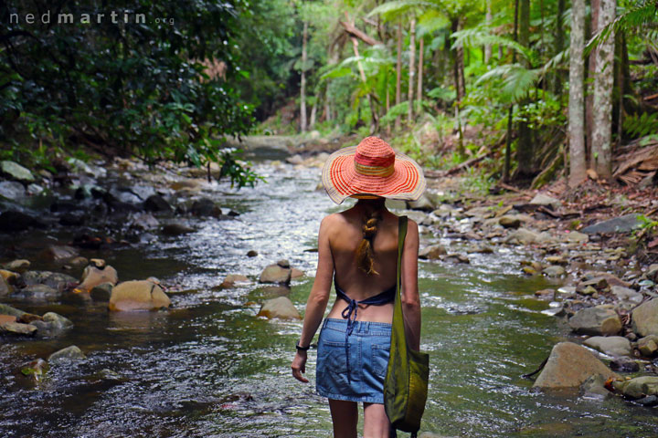 Bronwen walking in the creek at Cougal Cascade, Currumbin Creek