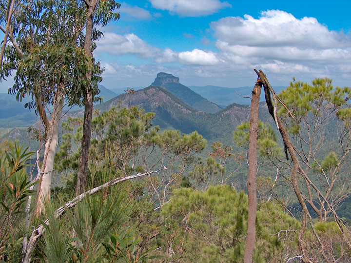 Bushwalk up Mt Barney  via South (Peasant's) Ridge