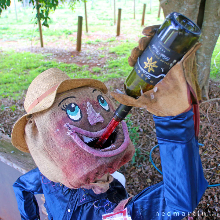 Bronwen at the Tamborine Mountain Scarecrow Festival