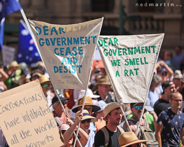 Freedom Rally, Brisbane