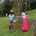 Scarecrows at Tamborine Mountain