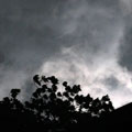 Stormy weather at Tamborine Mountain Scarecrow Festival