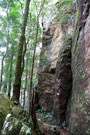 Rock face at Springbrook