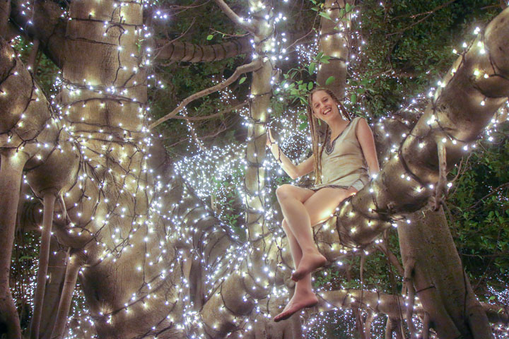 Bronwen in a lit-up tree at QUT Gardens Point