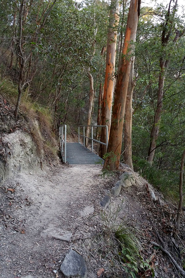 Walking up Mount Gravatt