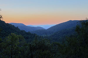 Sunset from Kondalilla Falls