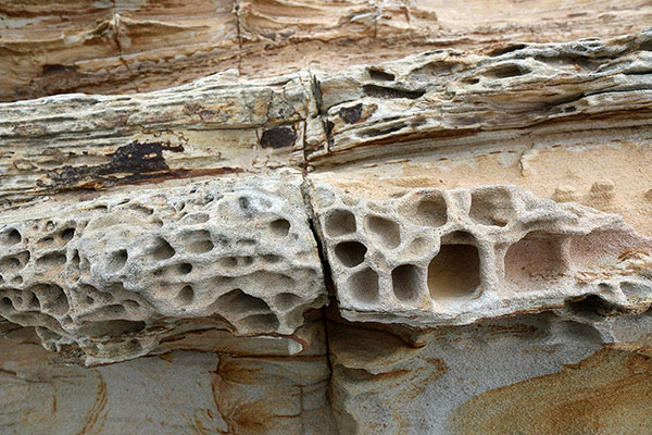 Wind-blown rocks at Point Reyes