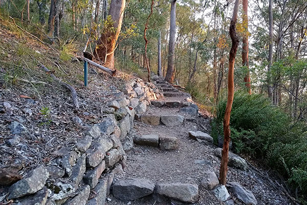 Walking up Mount Gravatt