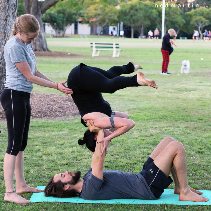 Bronwen, Acro at New Farm Park