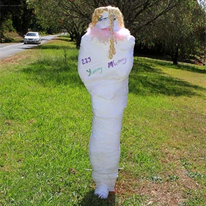 Tamborine Mountain Scarecrow Festival