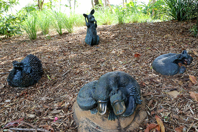 Sculptures at Mount Coot-Tha Botanic Gardens