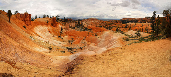 One of the many canyons in the park