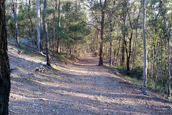 Walking up Mount Gravatt