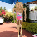 Scarecrows at Tamborine Mountain Scarecrow Festival