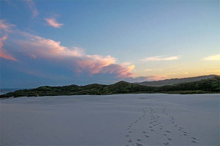 Moreton Island