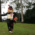 Scarecrows at Tamborine Mountain