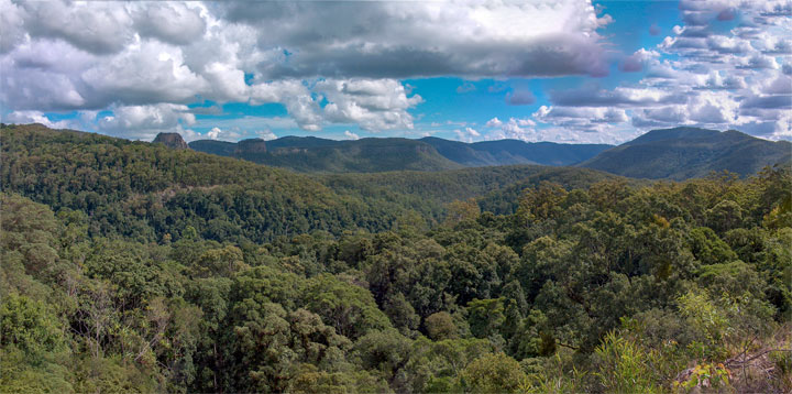 Steamers bushwalk