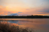 Lake Kurwongbah