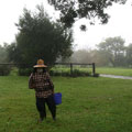 Scarecrows at Tamborine Mountain