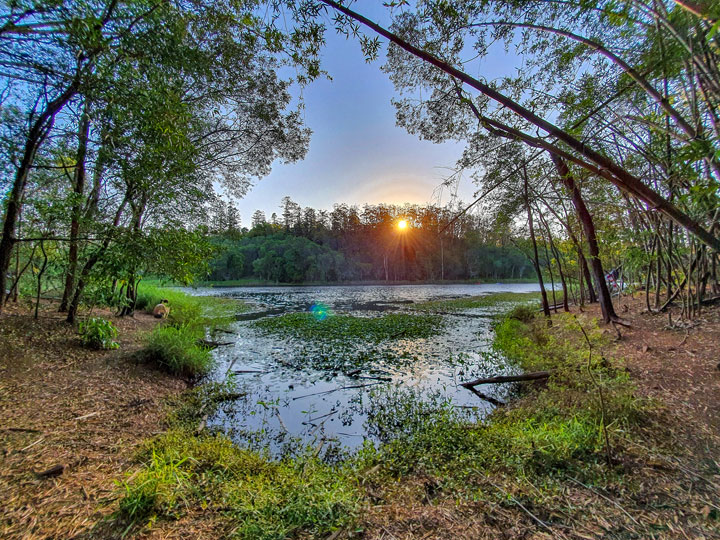 Enoggera Reservoir