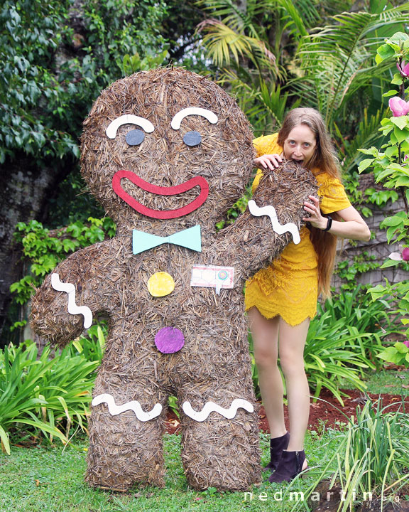 Bronwen at the Tamborine Mountain Scarecrow Festival