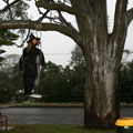 Scarecrows at Tamborine Mountain