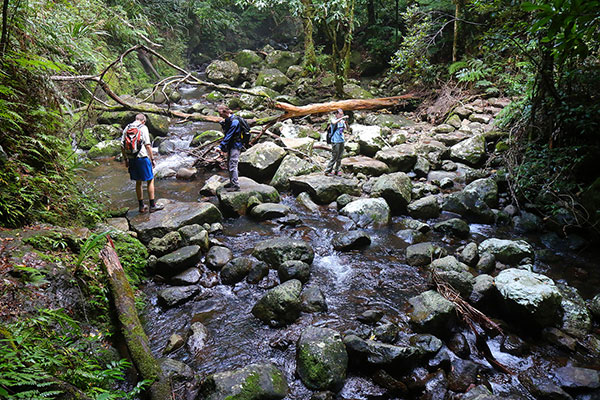 Clint, Maz & Emmi crossing the creek