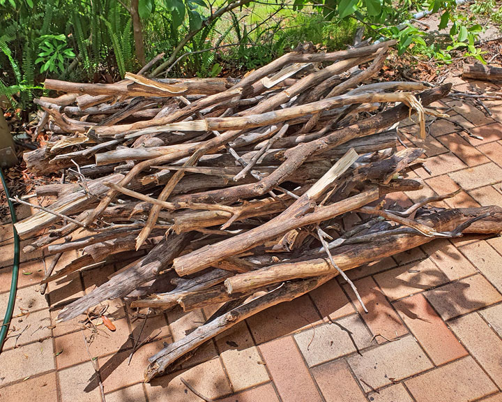 The ever-growing pile of sticks