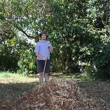 Ned raking leaves