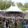 Woodford Folk Festival