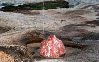 Manmade sea anenome, Sculpture by the Sea