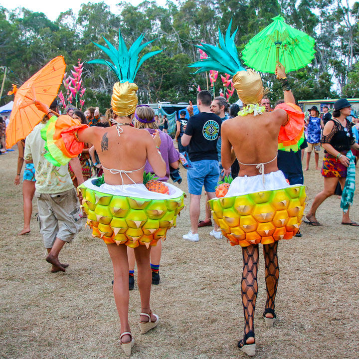 Island Vibe Festival 2019, Stradbroke Island