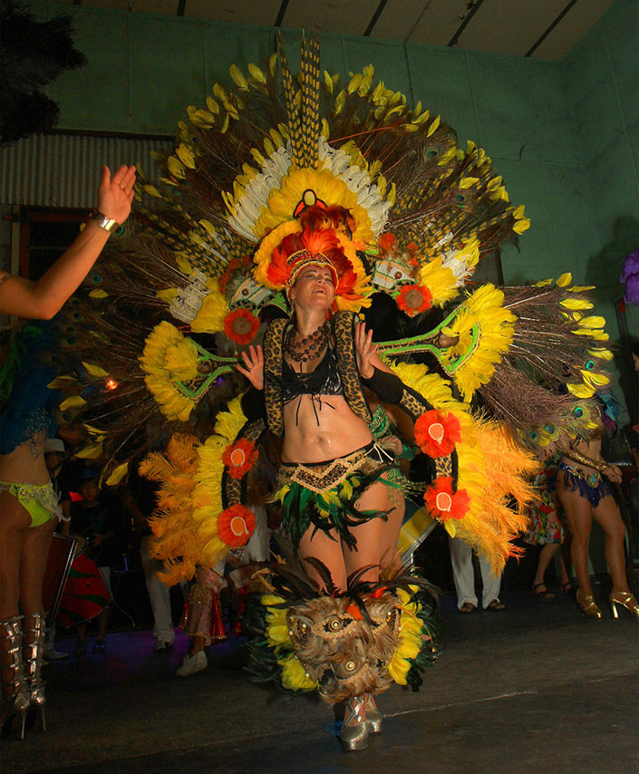 Rio Rhythmics Carnaval Parade