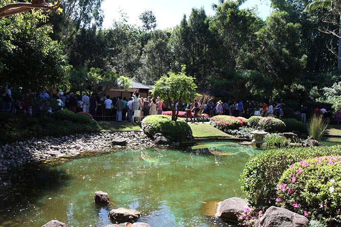 Queues waiting for The Japanese Festival, Mt Coot-Tha Botanic Gardens