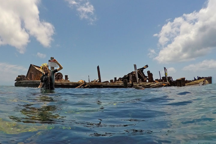 Snorkelling at Tangalooma Wrecks on Moreton Island