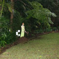 Scarecrows at Tamborine Mountain