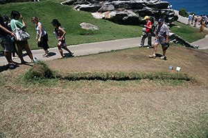 Sculpture by the Sea