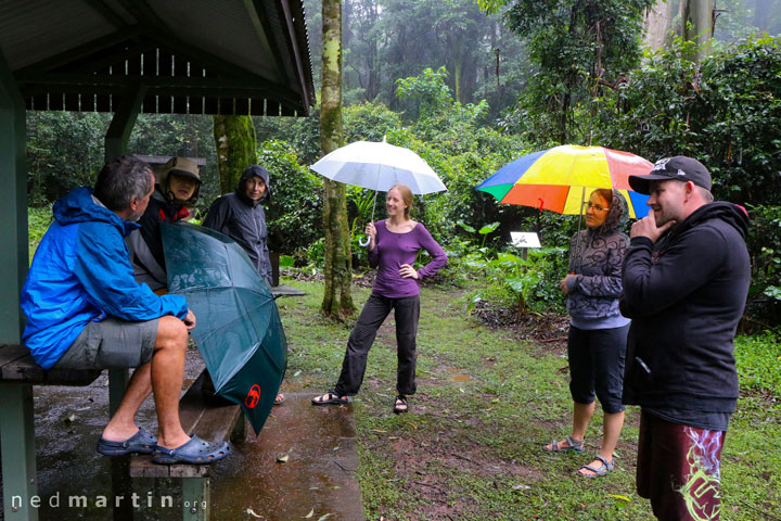 Bronwen, Tooloom National Park, NSW