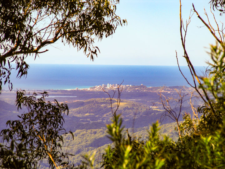 The Gold Coast from Mt Cougal