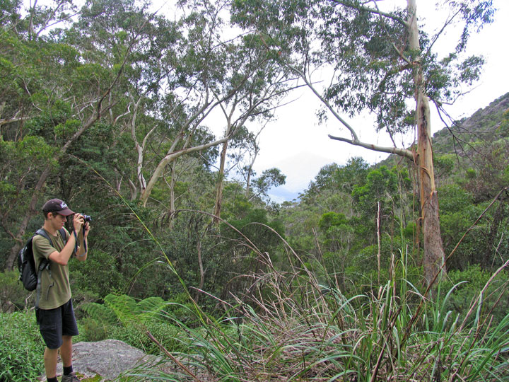 Clint, Bushwalk up Mt Barney  via South (Peasant's) Ridge