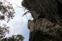 Looking up at the cliff along the side of The Steamers