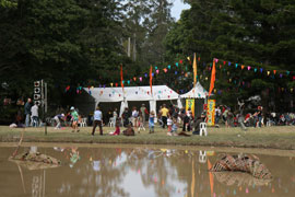 The Village Green and its pond